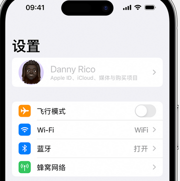 揭西appleID维修服务iPhone设置中Apple ID显示为灰色无法使用