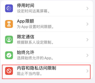 揭西appleID维修服务iPhone设置中Apple ID显示为灰色无法使用