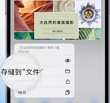 揭西apple维修中心分享iPhone文件应用中存储和找到下载文件