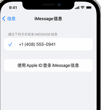 揭西apple维修iPhone上无法正常发送iMessage信息