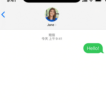 揭西apple维修iPhone上无法正常发送iMessage信息