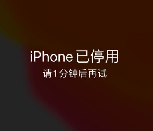 揭西苹果手机维修分享:iPhone 显示“不可用”或“已停用”怎么办？还能保留数据吗？ 