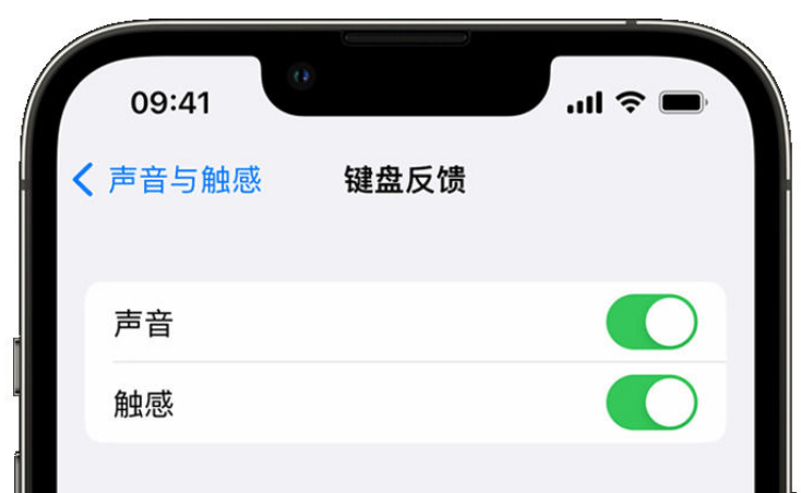 揭西苹果手机维修分享iPhone 14触感键盘使用方法 