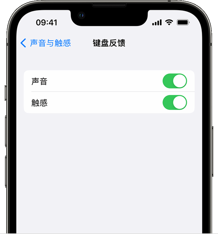 揭西苹果14维修店分享如何在 iPhone 14 机型中使用触感键盘 