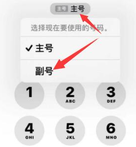 揭西苹果14维修店分享iPhone 14 Pro Max使用副卡打电话的方法 