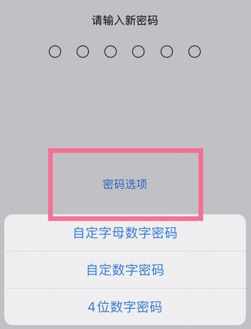 揭西苹果14维修分享iPhone 14plus设置密码的方法 