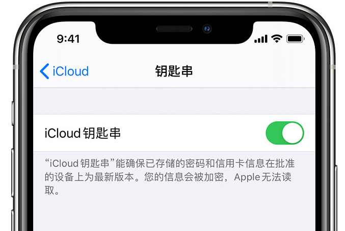 揭西苹果手机维修分享在 iPhone 上开启 iCloud 钥匙串之后会储存哪些信息 