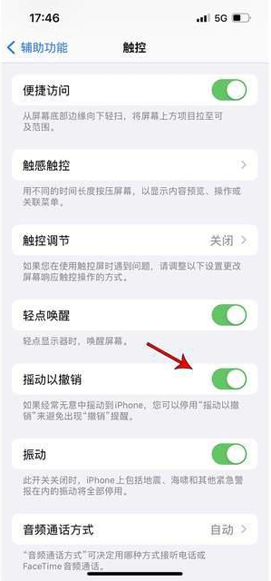 揭西苹果手机维修分享iPhone手机如何设置摇一摇删除文字 